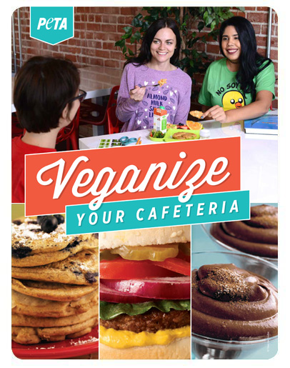 Veganize Pack Cover